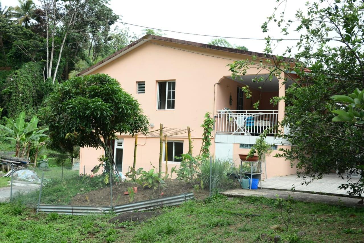 Maison Lavanne Saint-Joseph Exteriér fotografie